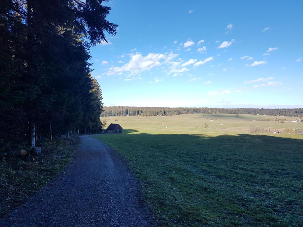 Ferienwohnung Im Schwarzwald Oberwiesenhof Seewald Экстерьер фото