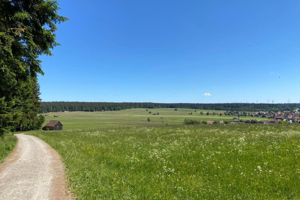 Ferienwohnung Im Schwarzwald Oberwiesenhof Seewald Экстерьер фото